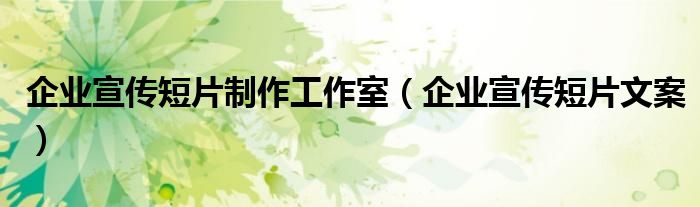 企业宣传短片制作工作室（企业宣传短片文案）