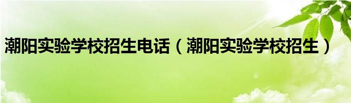 潮阳实验学校招生电话（潮阳实验学校招生）