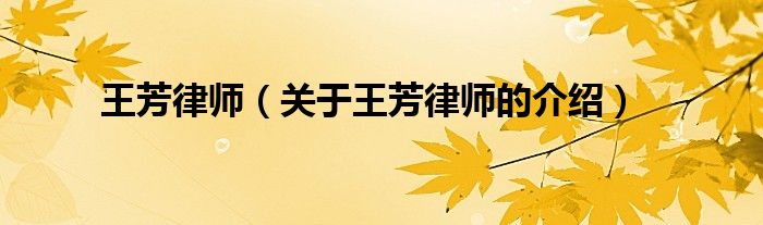 王芳律师（关于王芳律师的介绍）