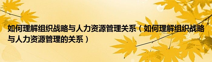 如何理解组织战略与人力资源管理关系（如何理解组织战略与人力资源管理的关系）