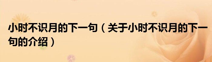 小时不识月的下一句（关于小时不识月的下一句的介绍）