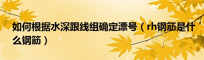 如何根据水深跟线组确定漂号（rh钢筋是什么钢筋）