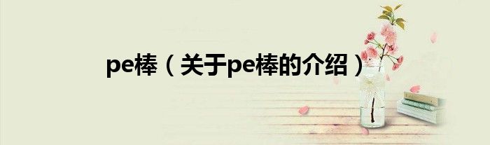 pe棒（关于pe棒的介绍）