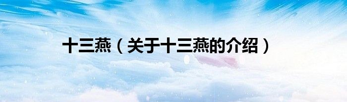 十三燕（关于十三燕的介绍）