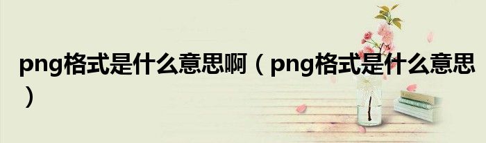 png格式是什么意思啊（png格式是什么意思）