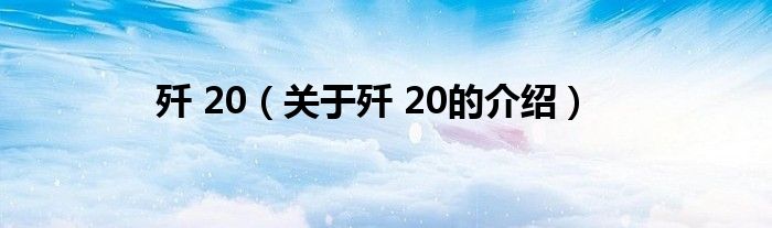 歼 20（关于歼 20的介绍）
