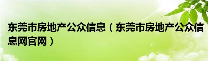 东莞市房地产公众信息（东莞市房地产公众信息网官网）