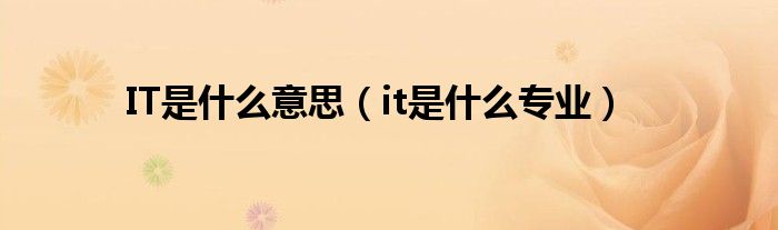 IT是什么意思（it是什么专业）