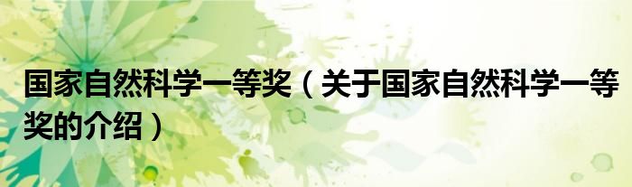 国家自然科学一等奖（关于国家自然科学一等奖的介绍）