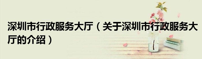 深圳市行政服务大厅（关于深圳市行政服务大厅的介绍）