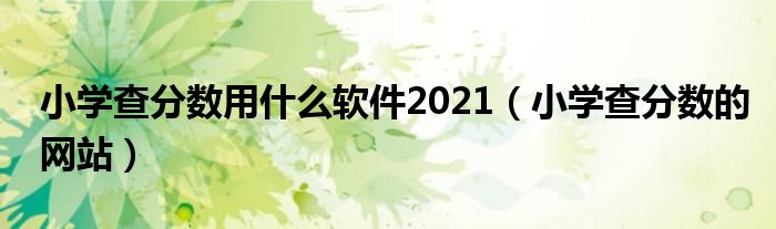 小学查分数用什么软件2021（小学查分数的网站）