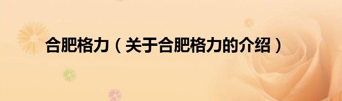 合肥格力（关于合肥格力的介绍）