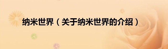 纳米世界（关于纳米世界的介绍）