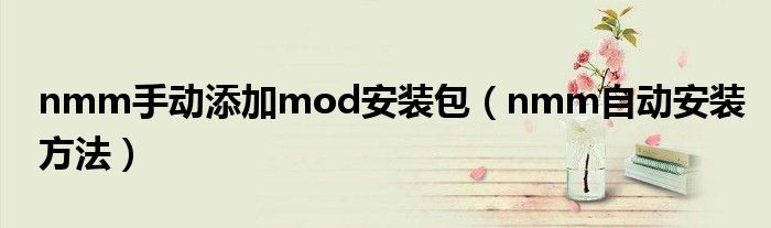nmm手动添加mod安装包（nmm自动安装方法）
