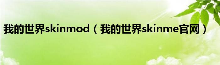 我的世界skinmod（我的世界skinme官网）