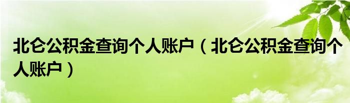 北仑公积金查询个人账户（北仑公积金查询个人账户）
