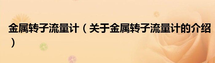 金属转子流量计（关于金属转子流量计的介绍）