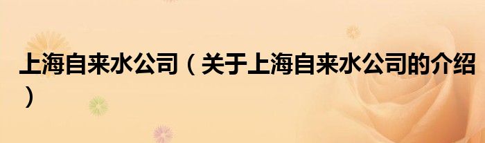 上海自来水公司（关于上海自来水公司的介绍）