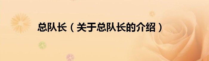 总队长（关于总队长的介绍）