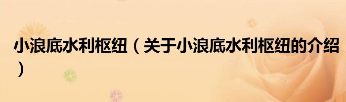小浪底水利枢纽（关于小浪底水利枢纽的介绍）