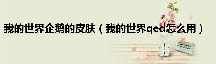 我的世界企鹅的皮肤（我的世界qed怎么用）