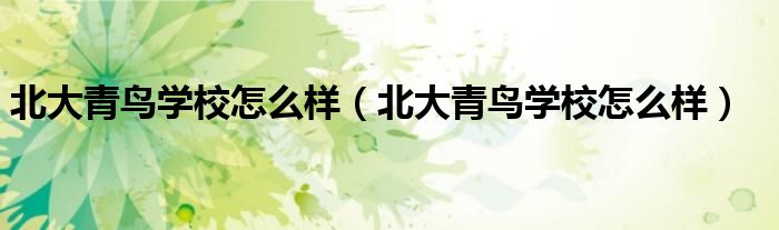 北大青鸟学校怎么样（北大青鸟学校怎么样）