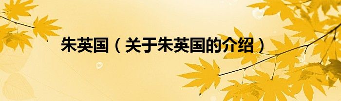 朱英国（关于朱英国的介绍）
