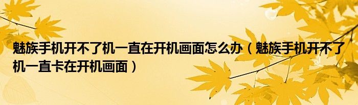 魅族手机开不了机一直在开机画面怎么办（魅族手机开不了机一直卡在开机画面）