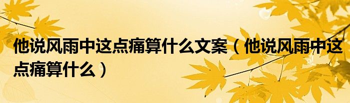 他说风雨中这点痛算什么文案（他说风雨中这点痛算什么）