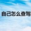 自己怎么查驾驶证真假（自己怎么查驾驶证）