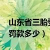 山东省三胎要罚多少钱（2022山东临沂三胎罚款多少）