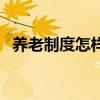 养老制度怎样改革的（养老制度怎样改革）