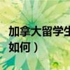 加拿大留学生就业情况（加拿大留学就业形势如何）