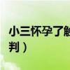 小三怀孕了触犯法律吗（小三怀孕了法律怎么判）