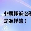 非羁押诉讼程序是怎样的呢（非羁押诉讼程序是怎样的）