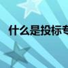 什么是投标专用封条（封装需要注意什么）