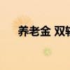 养老金 双轨（养老金双轨制概念详解）