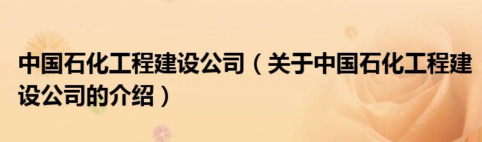 中国石化工程建设公司（关于中国石化工程建设公司的介绍）