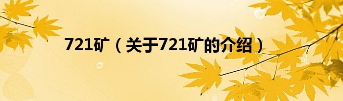 721矿（关于721矿的介绍）