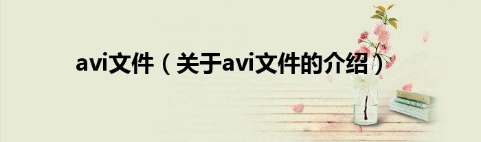 avi文件（关于avi文件的介绍）