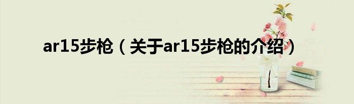 ar15步枪（关于ar15步枪的介绍）