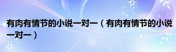 有肉有情节的小说一对一（有肉有情节的小说一对一）