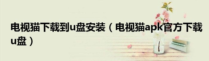 电视猫下载到u盘安装（电视猫apk官方下载u盘）