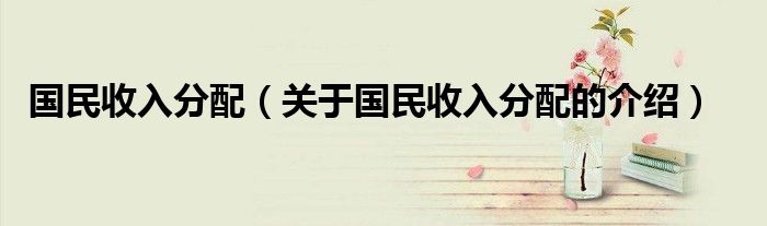 国民收入分配（关于国民收入分配的介绍）