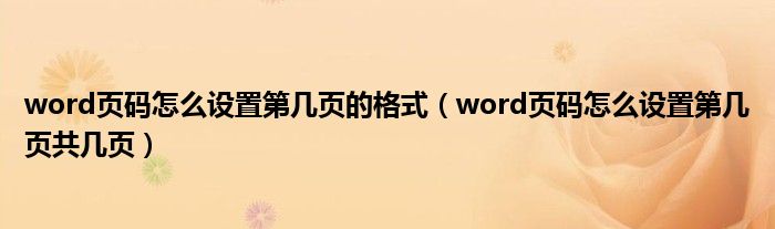 word页码怎么设置第几页的格式（word页码怎么设置第几页共几页）