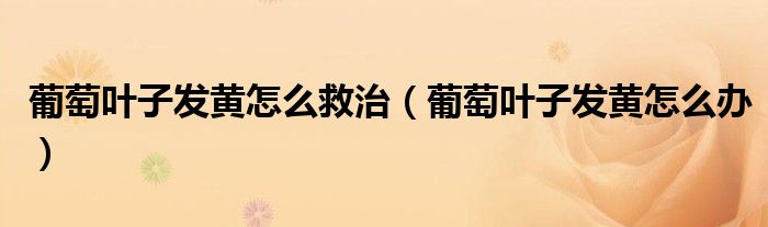 葡萄叶子发黄怎么救治（葡萄叶子发黄怎么办）
