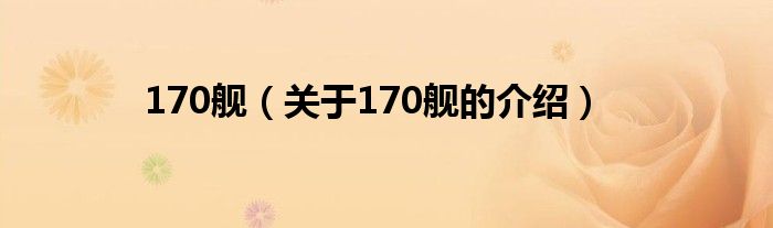 170舰（关于170舰的介绍）