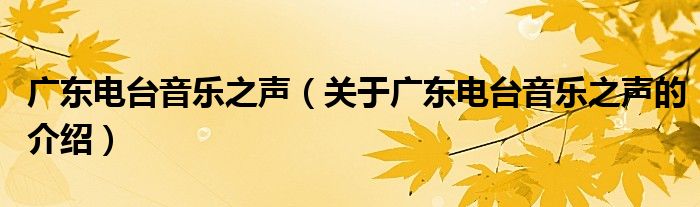 广东电台音乐之声（关于广东电台音乐之声的介绍）