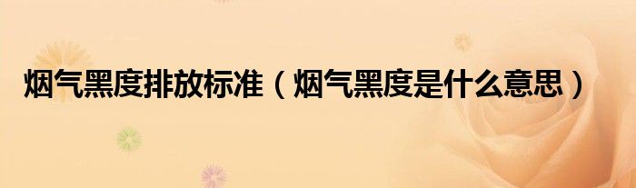 烟气黑度排放标准（烟气黑度是什么意思）