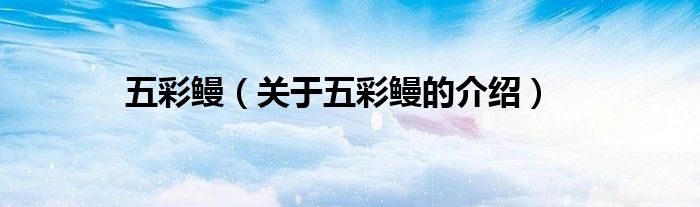 五彩鳗（关于五彩鳗的介绍）